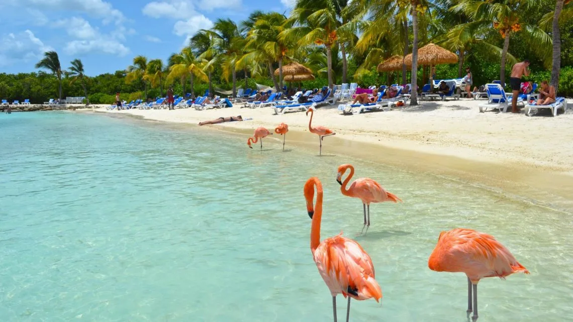 Aruba Driving Guide