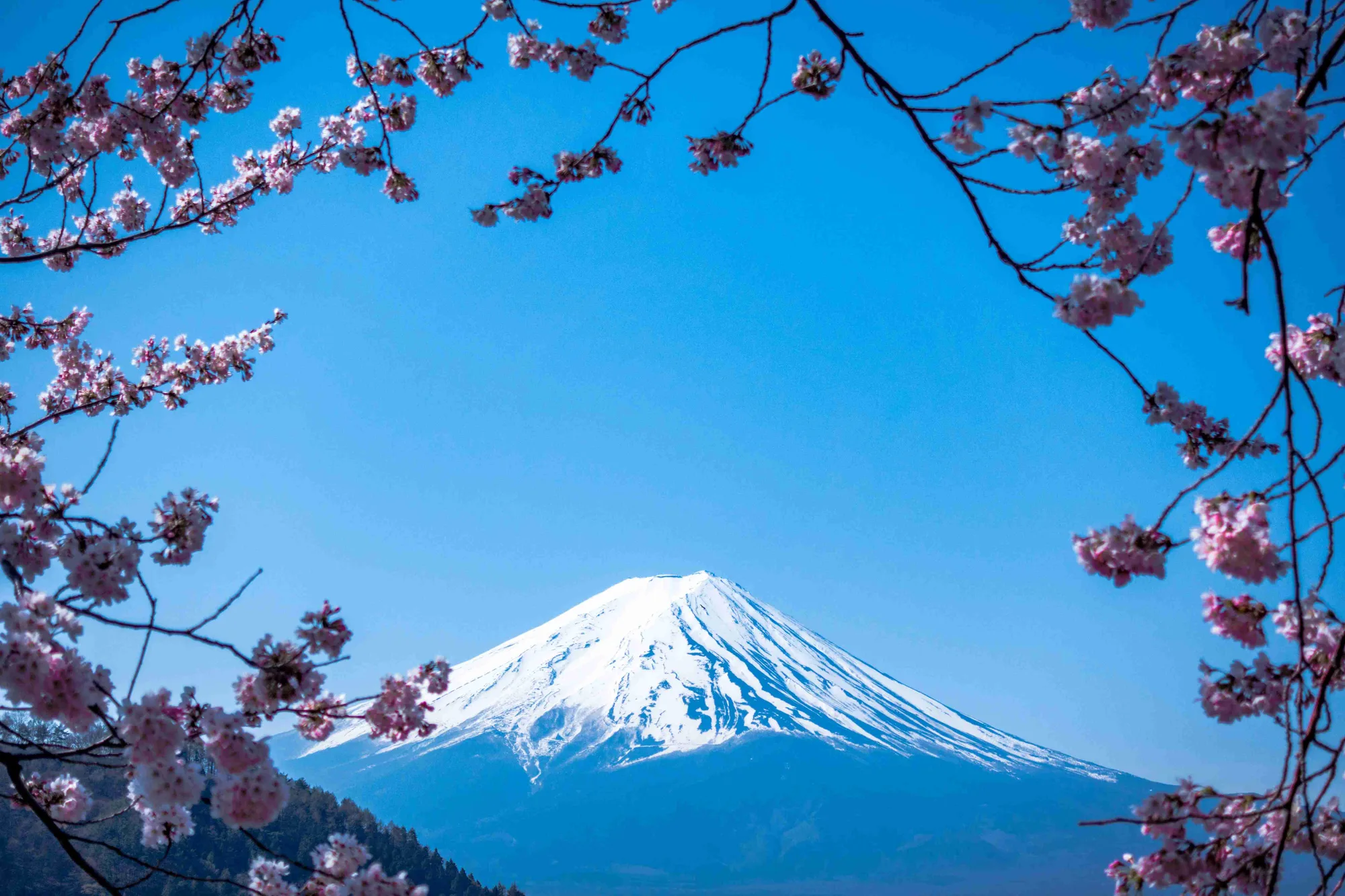 Japan Driving Guide