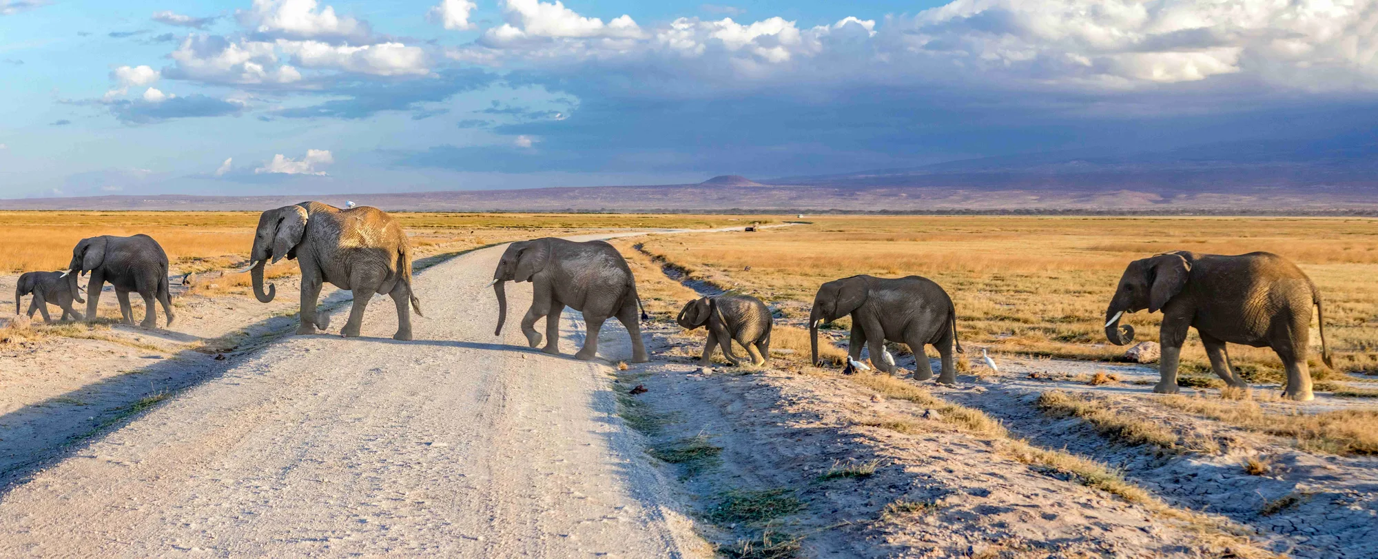 Kenya Driving Guide