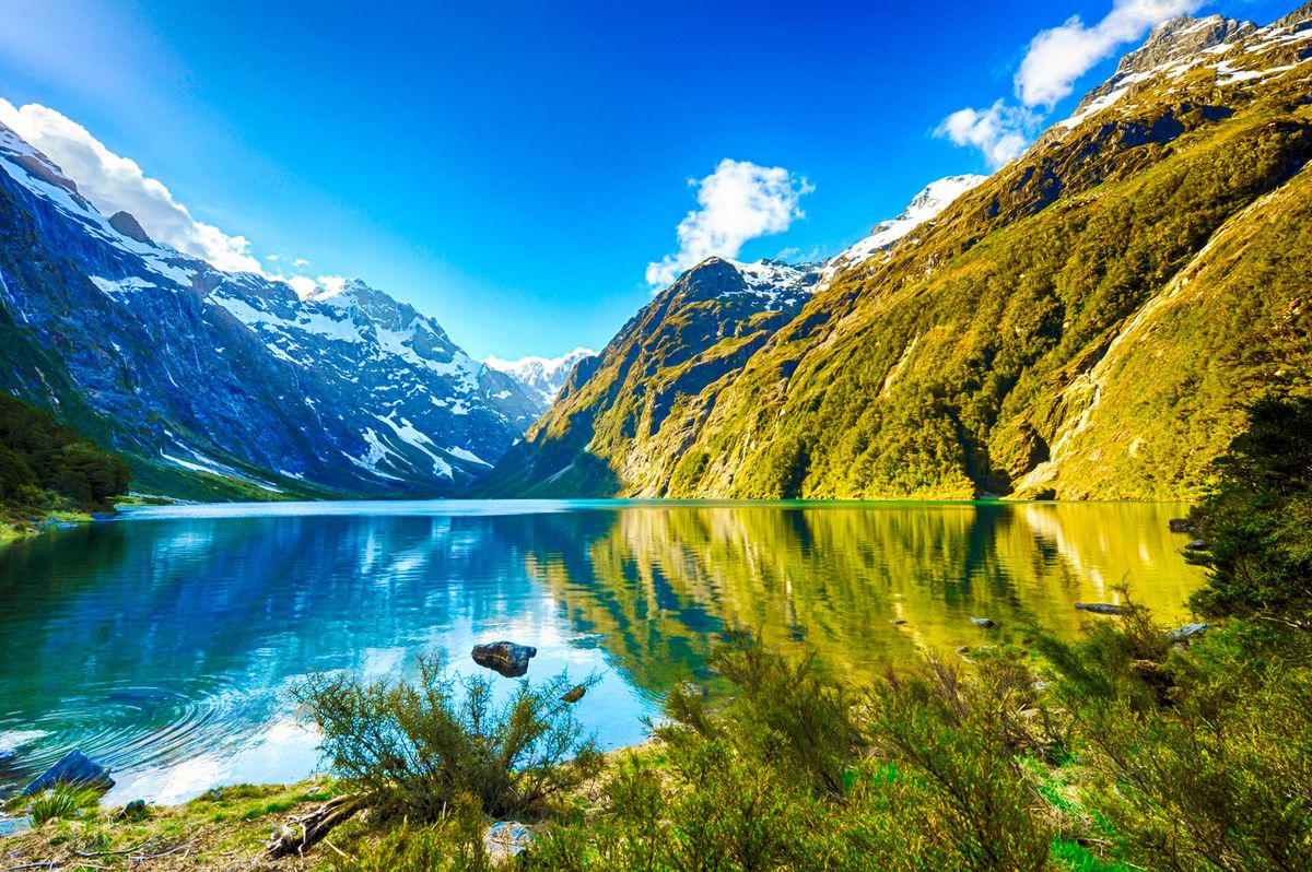 New Zealand Driving Guide