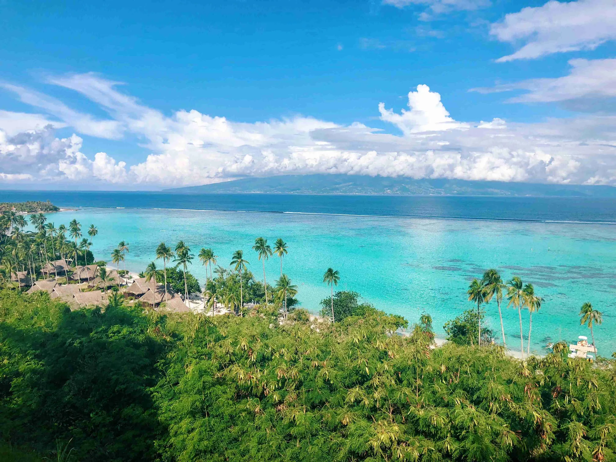 Polynesia Driving Guide