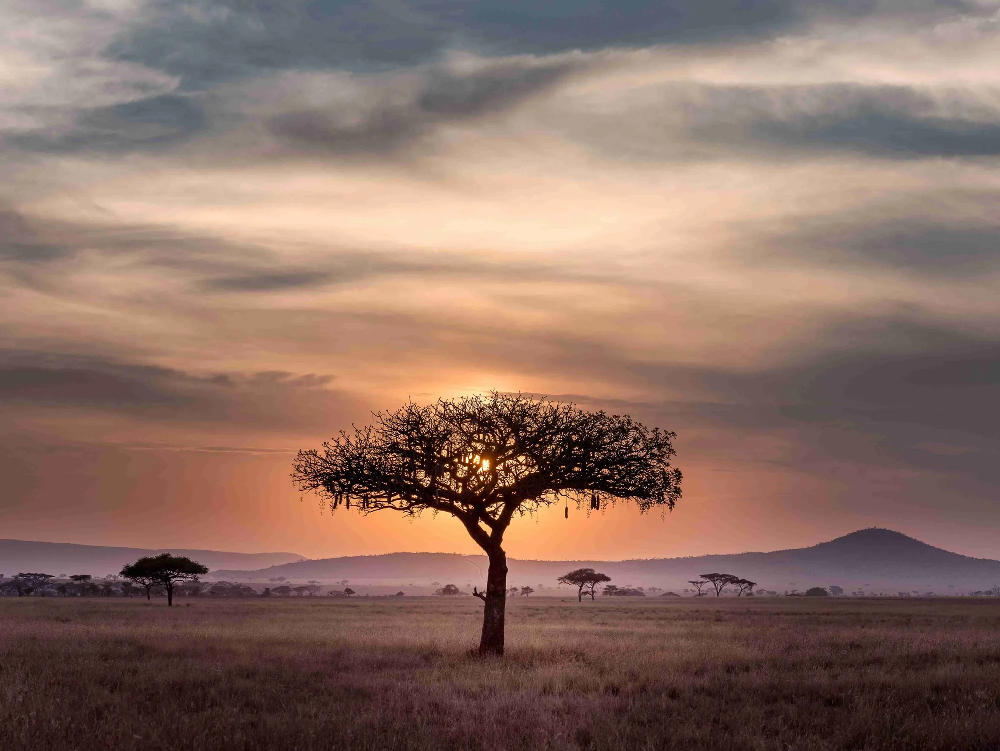 Tanzania Driving Guide